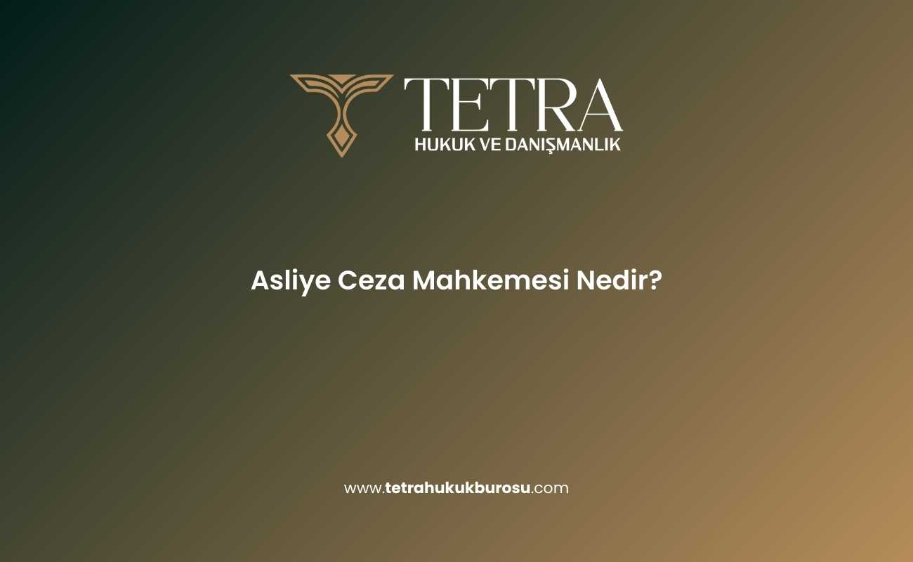 asliye-ceza-mahkemesi-nedir