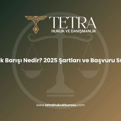 varlik-barisi-nedir-2025-sartlari-ve-basvuru-sureci